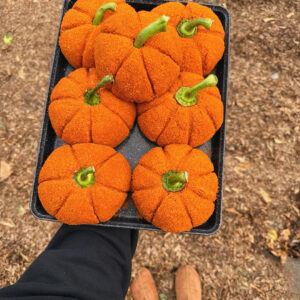 Pompoentje